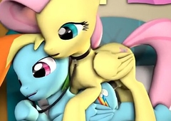 MLP animations (1)