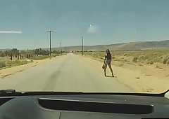 Lady-boy hitchhiker screwed in a catch ass